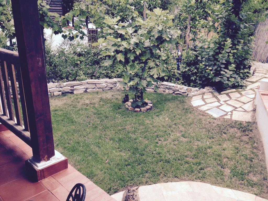 Residenza Luna Paestum Luaran gambar